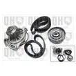 Pompe à eau + kit de courroie de distribution QUINTON HAZELL QBPK2890 - Visuel 1