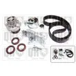 Pompe à eau + kit de courroie de distribution QUINTON HAZELL QBPK5831 - Visuel 1
