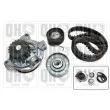 Pompe à eau + kit de courroie de distribution QUINTON HAZELL QBPK8060 - Visuel 1