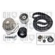 Pompe à eau + kit de courroie de distribution QUINTON HAZELL QBPK8660 - Visuel 1
