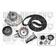 Pompe à eau + kit de courroie de distribution QUINTON HAZELL QBPK8930 - Visuel 1