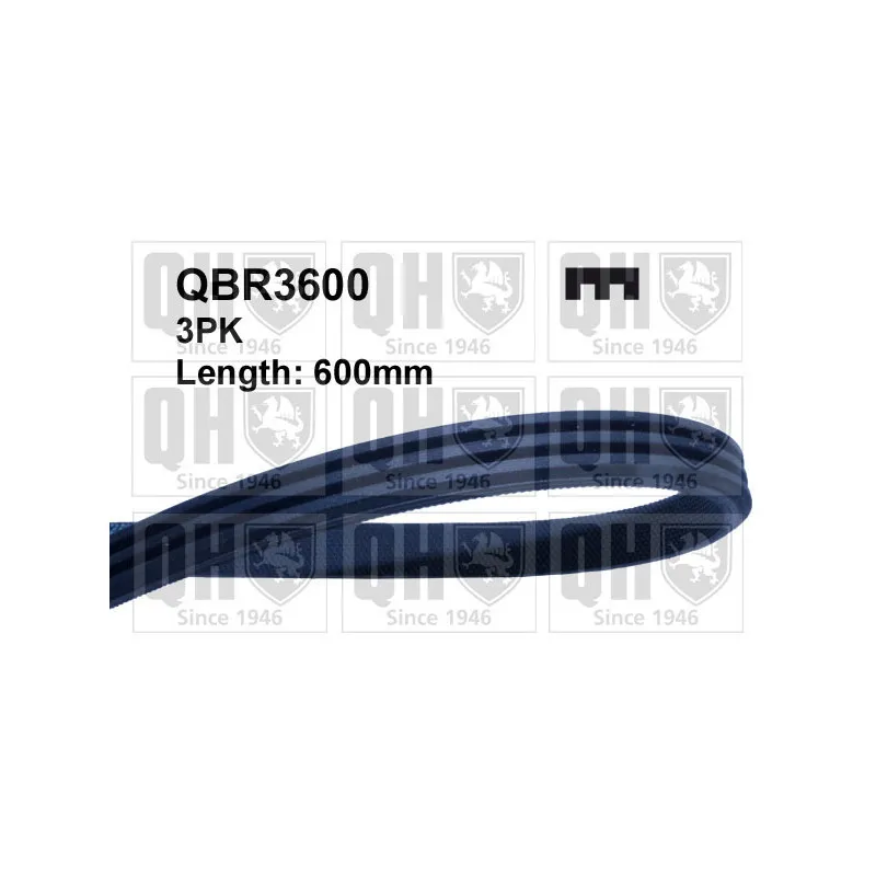 Courroie trapézoïdale à nervures QUINTON HAZELL QBR3600