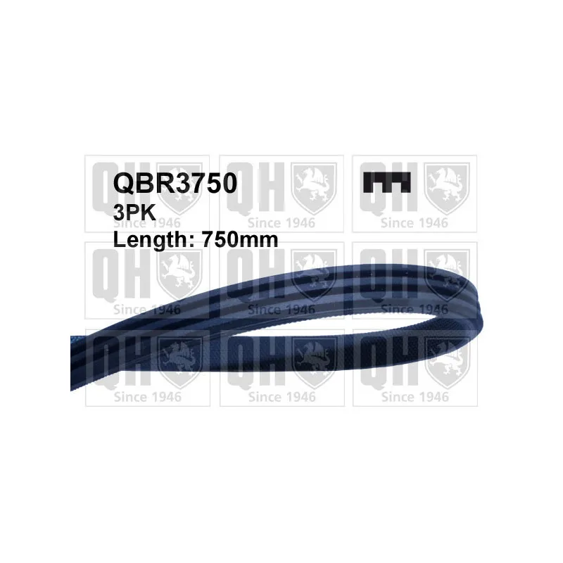 Courroie trapézoïdale à nervures QUINTON HAZELL QBR3750