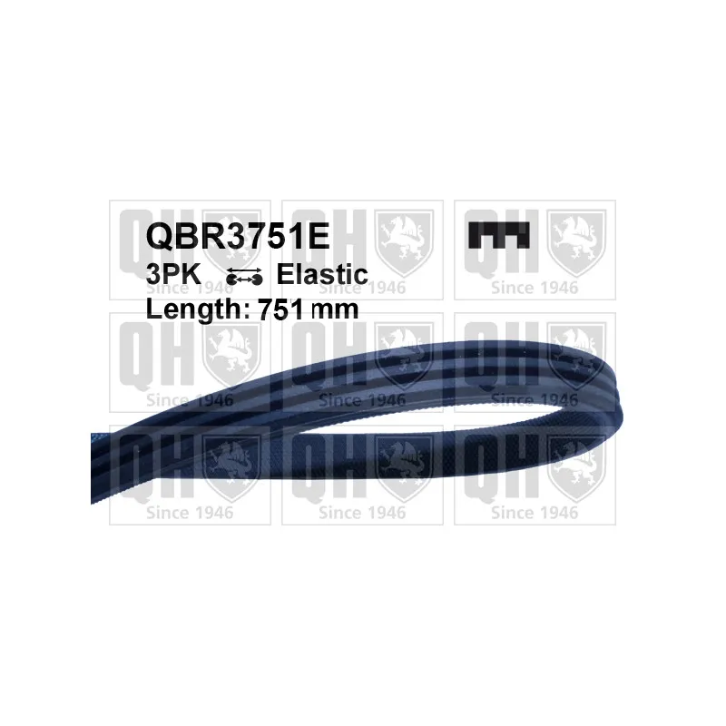Courroie trapézoïdale à nervures QUINTON HAZELL QBR3751E