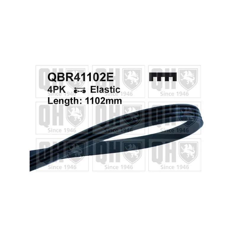 Courroie trapézoïdale à nervures QUINTON HAZELL QBR41102E