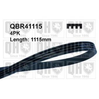 Courroie trapézoïdale à nervures QUINTON HAZELL QBR41115