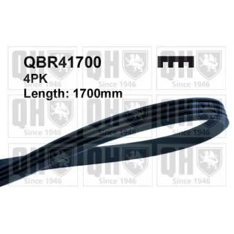 Courroie trapézoïdale à nervures QUINTON HAZELL QBR41700