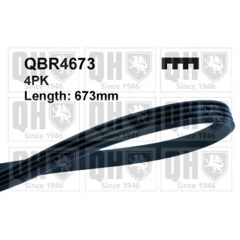 Courroie trapézoïdale à nervures QUINTON HAZELL QBR4673