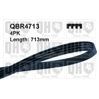 Courroie trapézoïdale à nervures QUINTON HAZELL QBR4713