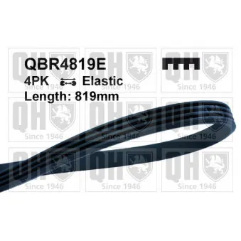 Courroie trapézoïdale à nervures QUINTON HAZELL QBR4819E