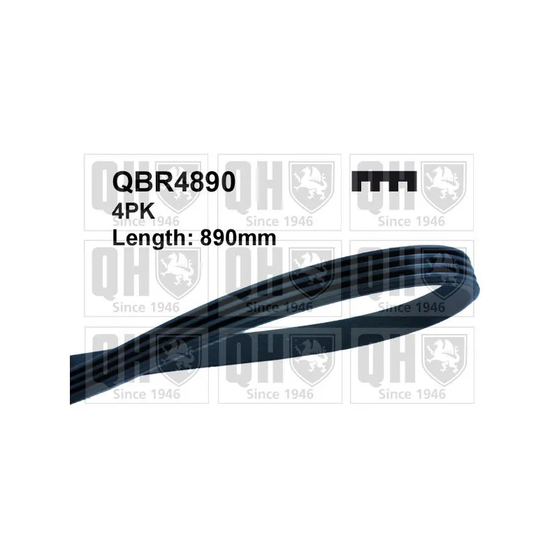 Courroie trapézoïdale à nervures QUINTON HAZELL QBR4890