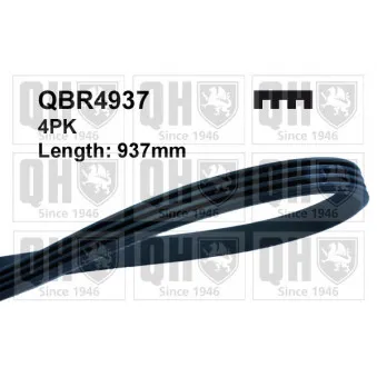 Courroie trapézoïdale à nervures QUINTON HAZELL QBR4937