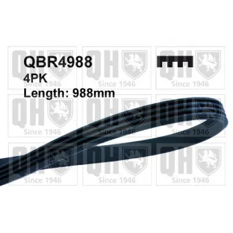 Courroie trapézoïdale à nervures QUINTON HAZELL QBR4988
