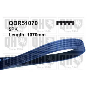 Courroie trapézoïdale à nervures QUINTON HAZELL QBR51070