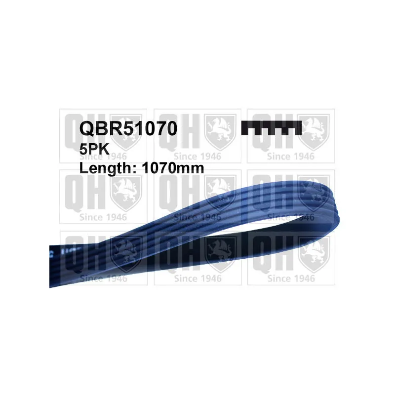 Courroie trapézoïdale à nervures QUINTON HAZELL QBR51070
