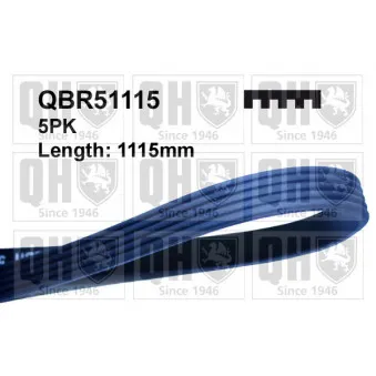 Courroie trapézoïdale à nervures QUINTON HAZELL QBR51115