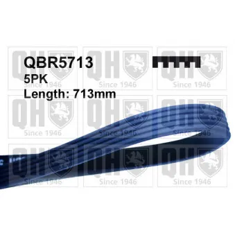 Courroie trapézoïdale à nervures QUINTON HAZELL QBR5713