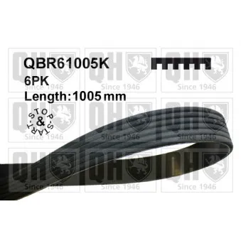 Courroie trapézoïdale à nervures QUINTON HAZELL QBR61005K