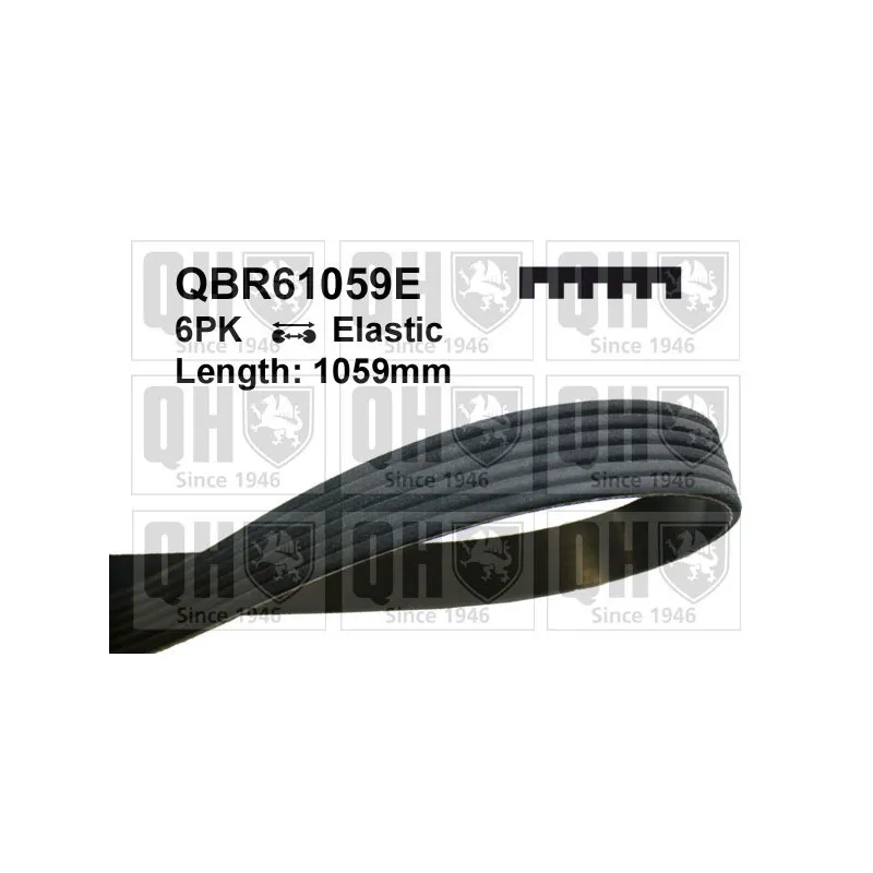 Courroie trapézoïdale à nervures QUINTON HAZELL QBR61059E