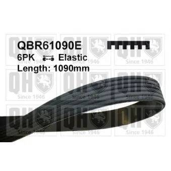 Courroie trapézoïdale à nervures QUINTON HAZELL QBR61090E