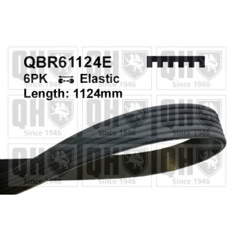 Courroie trapézoïdale à nervures QUINTON HAZELL QBR61124E