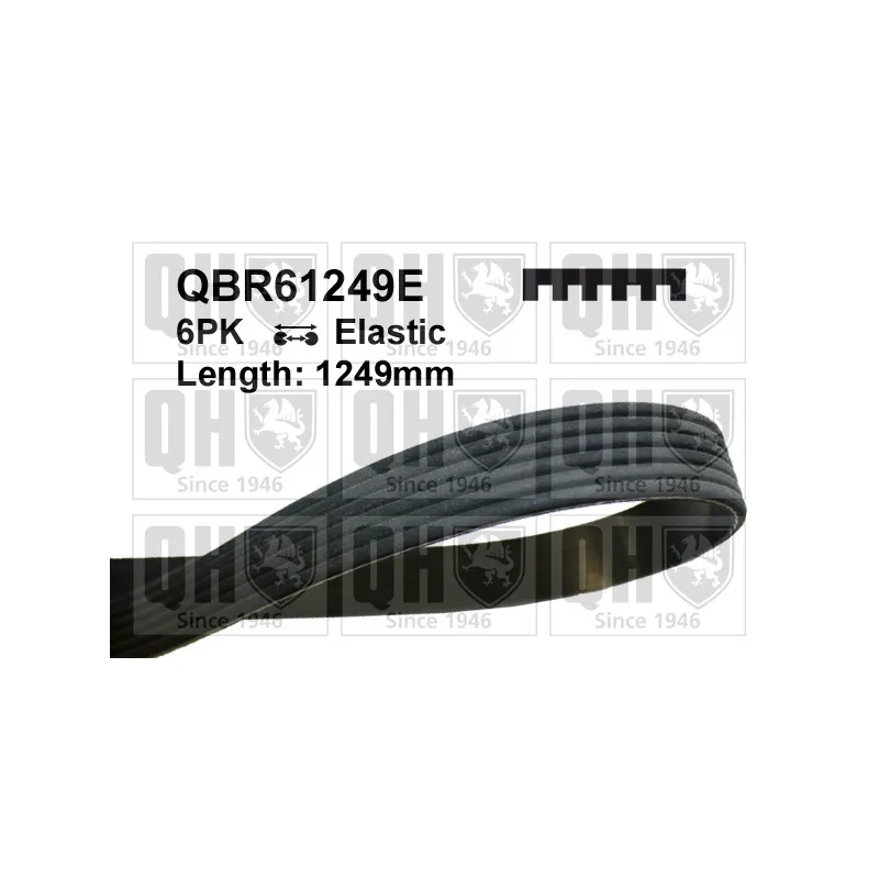 Courroie trapézoïdale à nervures QUINTON HAZELL QBR61249E