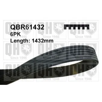 Courroie trapézoïdale à nervures QUINTON HAZELL QBR61432