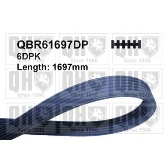 Courroie trapézoïdale à nervures QUINTON HAZELL QBR61697DP