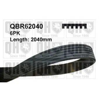 Courroie trapézoïdale à nervures QUINTON HAZELL QBR62040
