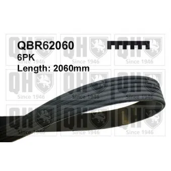 Courroie trapézoïdale à nervures QUINTON HAZELL QBR62060
