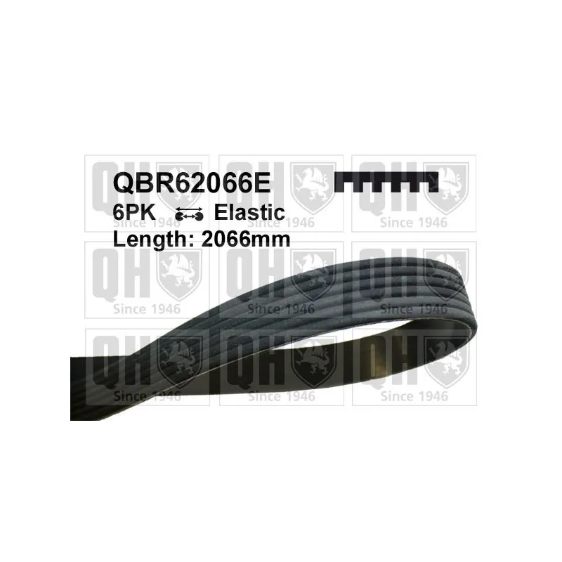 Courroie trapézoïdale à nervures QUINTON HAZELL QBR62066E
