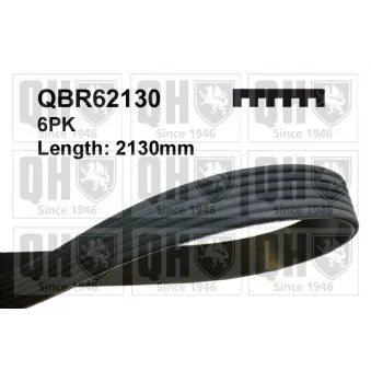 Courroie trapézoïdale à nervures QUINTON HAZELL QBR62130