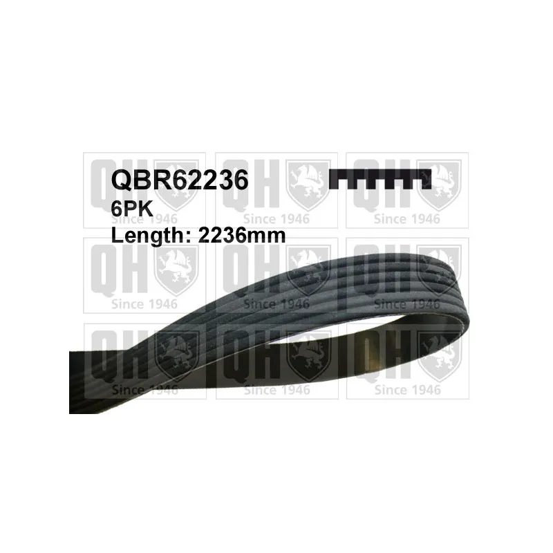 Courroie trapézoïdale à nervures QUINTON HAZELL QBR62236