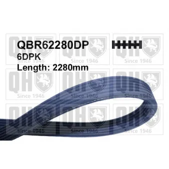 Courroie trapézoïdale à nervures QUINTON HAZELL QBR62280DP