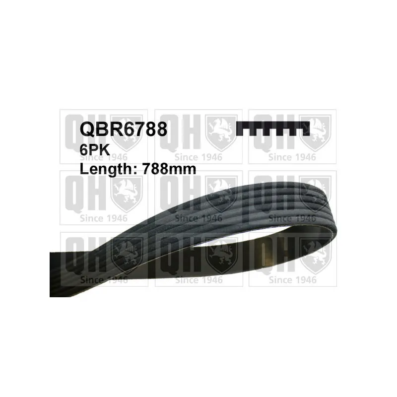 Courroie trapézoïdale à nervures QUINTON HAZELL QBR6788