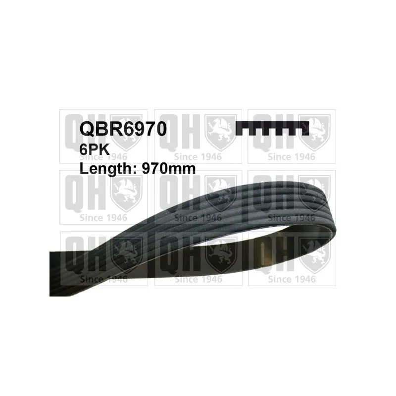 Courroie trapézoïdale à nervures QUINTON HAZELL QBR6970