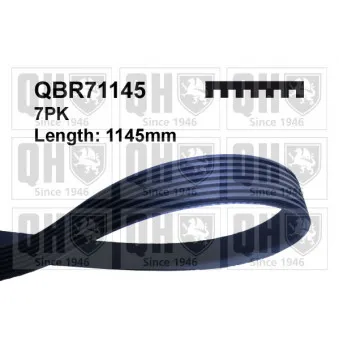 Courroie trapézoïdale à nervures QUINTON HAZELL QBR71145