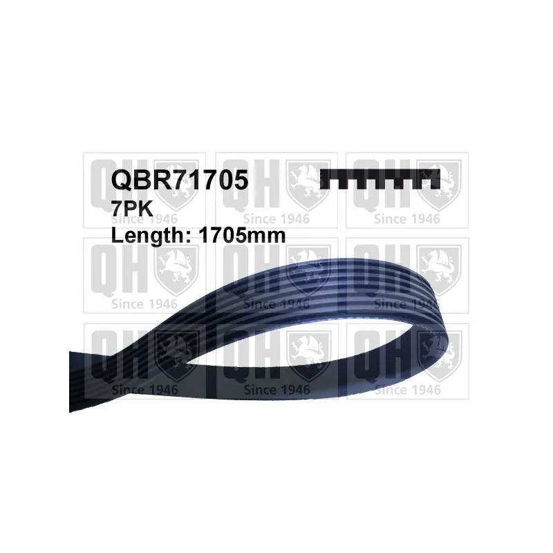 Courroie trapézoïdale à nervures QUINTON HAZELL QBR71705