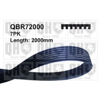 Courroie trapézoïdale à nervures QUINTON HAZELL QBR72000