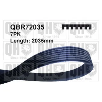 Courroie trapézoïdale à nervures QUINTON HAZELL QBR72035