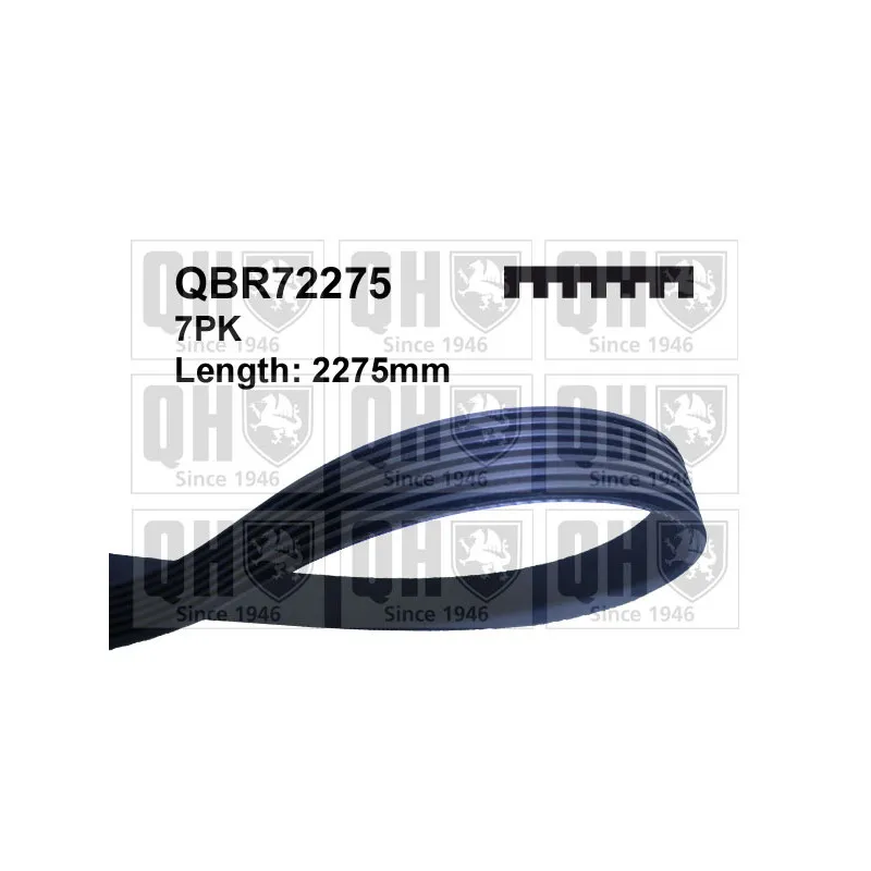 Courroie trapézoïdale à nervures QUINTON HAZELL QBR72275