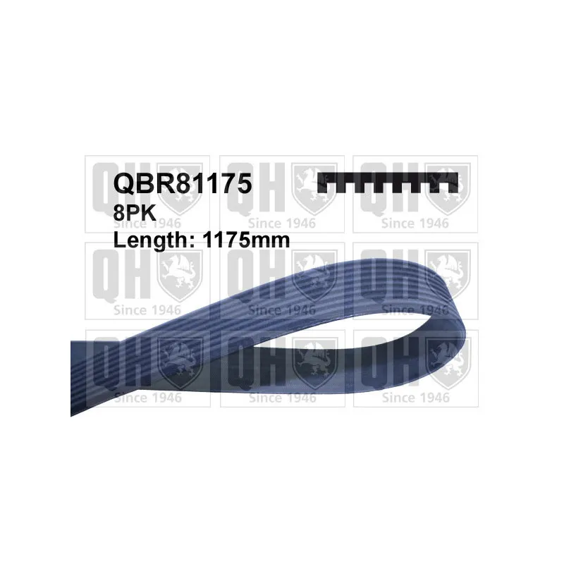 Courroie trapézoïdale à nervures QUINTON HAZELL QBR81175