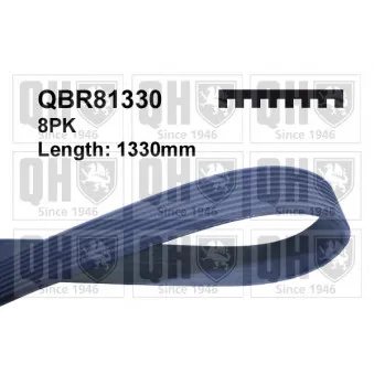 Courroie trapézoïdale à nervures QUINTON HAZELL QBR81330