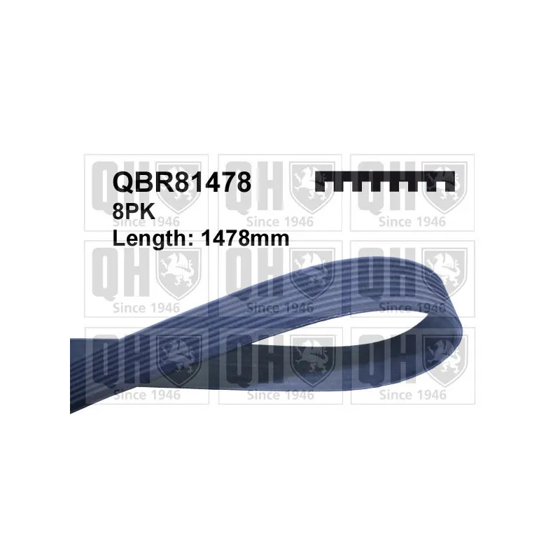 Courroie trapézoïdale à nervures QUINTON HAZELL QBR81478
