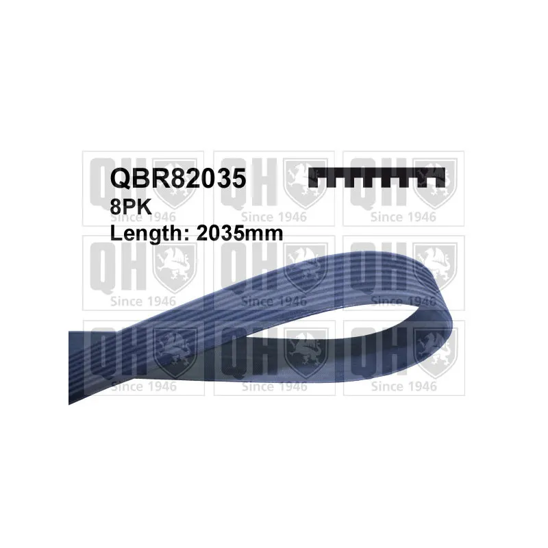 Courroie trapézoïdale à nervures QUINTON HAZELL QBR82035