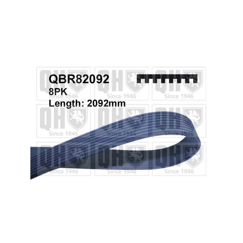 Courroie trapézoïdale à nervures QUINTON HAZELL QBR82092