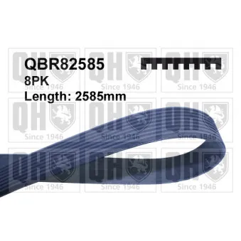 Courroie trapézoïdale à nervures QUINTON HAZELL QBR82585
