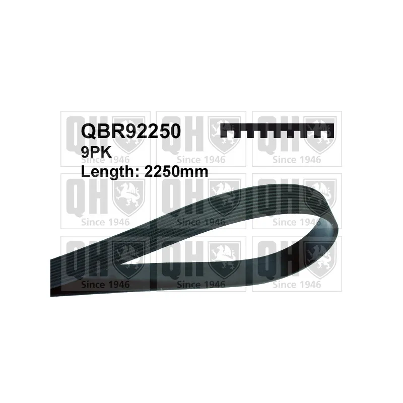 Courroie trapézoïdale à nervures QUINTON HAZELL QBR92250