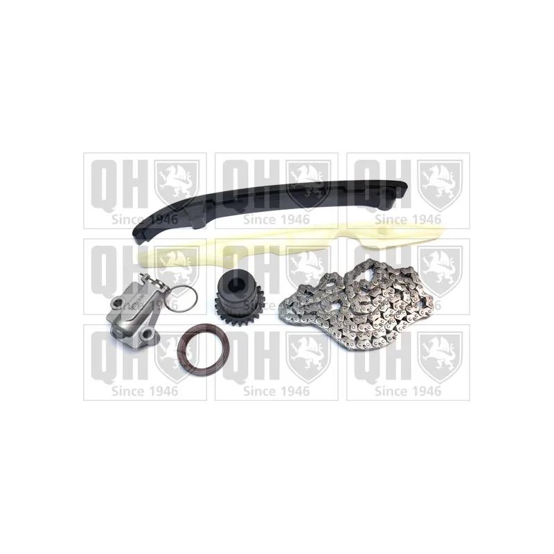 Kit de distribution par chaîne QUINTON HAZELL QCK132