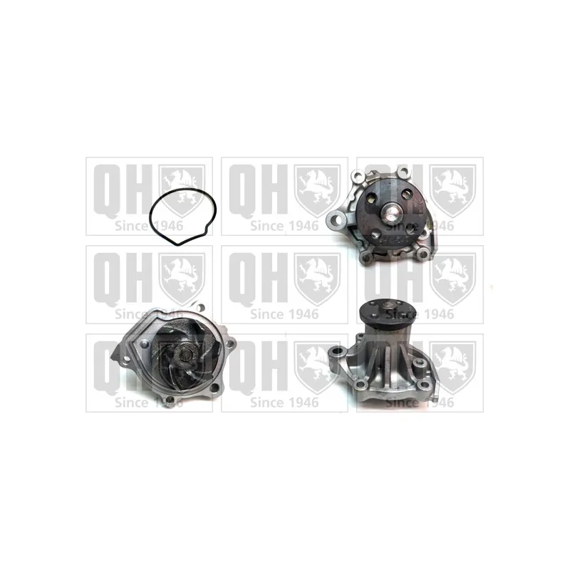 Pompe à eau QUINTON HAZELL QCP1400